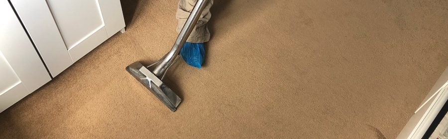 Carpet Cleaning 4